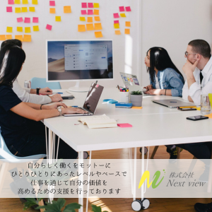 株式会社NextView